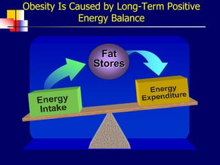 Obesity Is Caused by Long-Term Positive
Energy Balance
Fat
Stores
 