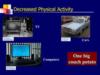 Decreased Physical Activity
Computers
Cars
TV
One big
couch potato
CC:BY-NC 2.0
BY: Brandon King
CC:BY-SA 2.0
BY: dave_7
CC:BY-NC 2.0
BY: Joe Hatfield
 