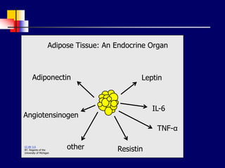 Adiponectin
Angiotensinogen
Resistin
IL-6
TNF-α
Leptin
other
Adipose Tissue: An Endocrine Organ
CC:BY 3.0
BY: Regents of the
University of Michigan
 