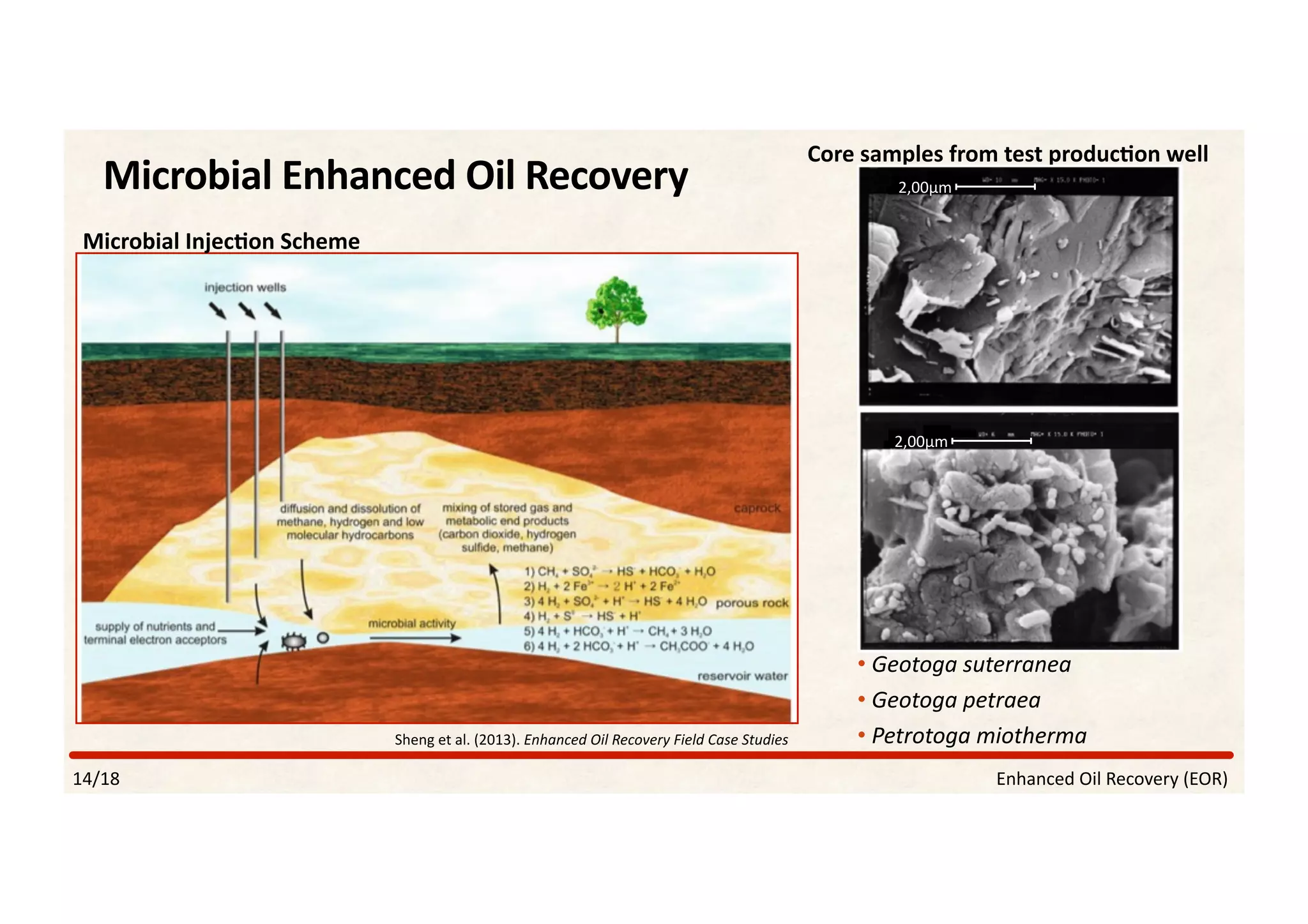 Microbial	Enhanced	Oil	Recovery	
Sheng	et	al.	(2013).	Enhanced	Oil	Recovery	Field	Case	Studies	
	Core	samples	from	test	produc]on	well	
Microbial	Injec]on	Scheme	
• 	Geotoga	suterranea	
• 	Geotoga	petraea	
• 	Petrotoga	miotherma	
Enhanced	Oil	Recovery	(EOR)	14/18	
2,00µm	
2,00µm	
 