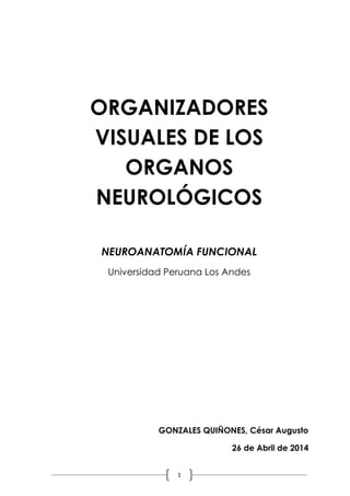 ORGANIZADORES VISUALES DE LOS ORGANOS NEUROLÓGICOS
Neuroanatomía Funcional
Universidad Peruana Los Andes
1
ORGANIZADORES
VISUALES DE LOS
ORGANOS
NEUROLÓGICOS
NEUROANATOMÍA FUNCIONAL
Universidad Peruana Los Andes
GONZALES QUIÑONES, César Augusto
26 de Abril de 2014
 