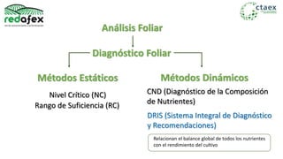 Análisis Foliar
Diagnóstico Foliar
Métodos Estáticos Métodos Dinámicos
Nivel Crítico (NC)
Rango de Suficiencia (RC)
CND (Diagnóstico de la Composición
de Nutrientes)
DRIS (Sistema Integral de Diagnóstico
y Recomendaciones)
Relacionan el balance global de todos los nutrientes
con el rendimiento del cultivo
 