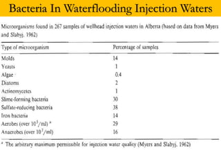 Bacteria In Waterflooding Injection Waters
 
