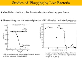Studies of Plugging by Live Bacteria
Microbial metabolites, rather than microbes themselves clog pore throats.
Absence of organic nutrients and presence of biocides check microbial plugging.
Effect of adding sucrose solution to a percolating column
of silt-size sediments (McCalla, 1950)
Loss of permeability vs bacterial population in
sand pack column after 25 days of percolation
(Gupta et. al., 1962)
 