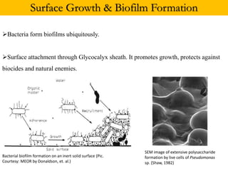 Surface Growth & Biofilm Formation
Bacteria form biofilms ubiquitously.
Surface attachment through Glycocalyx sheath. It promotes growth, protects against
biocides and natural enemies.
Bacterial biofilm formation on an inert solid surface (Pic.
Courtesy: MEOR by Donaldson, et. al.)
SEM image of extensive polysaccharide
formation by live cells of Pseudomonas
sp. (Shaw, 1982)
 