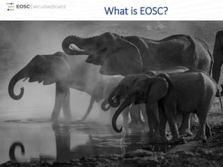 What is EOSC?
18/06/2019 G7 Open Science Working Group, Paris, 19 June 2019 9
 