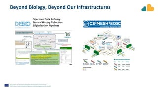 Beyond Biology, Beyond Our Infrastructures
Specimen Data Refinery
Natural History Collection
Digitalisation Pipelines
 