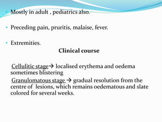 • Mostly in adult , pediatrics also.
• Preceding pain, pruritis, malaise, fever.
• Extremities.
Clinical course
Cellulitic stage localised erythema and oedema
sometimes blistering
Granulomatous stage  gradual resolution from the
centre of lesions, which remains oedematous and slate
colored for several weeks.
 