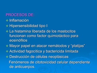 PROCESOS DE:
 Inflamación
 Hipersensibilidad tipo I
 La histamina liberada de los mastocitos
funcionan como factor quimiotáctico para
eosinófilos
 Mayor papel en atacar nemátodos y “platijas”
 Actividad fagocítica y bactericida limitada
 Destrucción de células neoplásicas
Fenómenos de citotoxicidad celular dependiente
de anticuerpos.
 