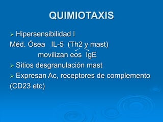 QUIMIOTAXIS
 Hipersensibilidad I
Méd. Ósea IL-5 (Th2 y mast)
movilizan eos IgE
 Sitios desgranulación mast
 Expresan Ac, receptores de complemento
(CD23 etc)
 