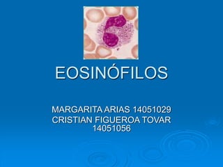 EOSINÓFILOS
MARGARITA ARIAS 14051029
CRISTIAN FIGUEROA TOVAR
14051056
 
