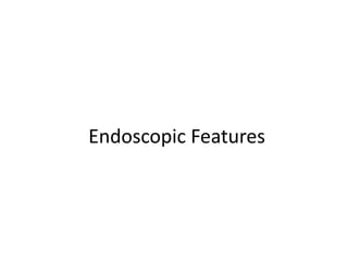 Endoscopic Features
 