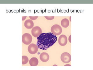 Eosinophils and BASOPHILSkhadeejaimad.pptx