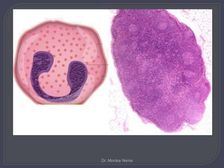 Dr. Monika Nema
 