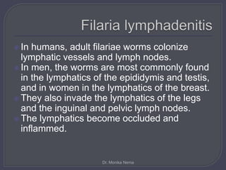  In humans, adult filariae worms colonize
lymphatic vessels and lymph nodes.
 In men, the worms are most commonly found
in the lymphatics of the epididymis and testis,
and in women in the lymphatics of the breast.
 They also invade the lymphatics of the legs
and the inguinal and pelvic lymph nodes.
 The lymphatics become occluded and
inflammed.
Dr. Monika Nema
 