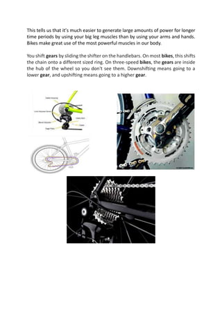 This tells us that it’s much easier to generate large amounts of power for longer
time periods by using your big leg muscles than by using your arms and hands.
Bikes make great use of the most powerful muscles in our body.
You shift gears by sliding the shifter on the handlebars. On most bikes, this shifts
the chain onto a different sized ring. On three-speed bikes, the gears are inside
the hub of the wheel so you don't see them. Downshifting means going to a
lower gear, and upshifting means going to a higher gear.
 