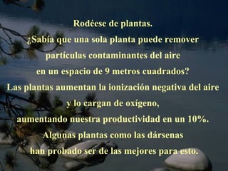 Rodéese de plantas.  ¿Sabía que una sola planta puede remover  partículas contaminantes del aire  en un espacio de 9 metros cuadrados?  Las plantas aumentan la ionización negativa del aire  y lo cargan de oxígeno,  aumentando nuestra productividad en un 10%.  Algunas plantas como las dársenas  han probado ser de las mejores para esto. 