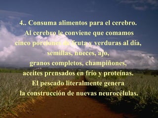 4.. Consuma alimentos para el cerebro.  Al cerebro le conviene que comamos cinco porciones de fruta y verduras al día,  semillas, nueces, ajo,  granos completos, champiñones,  aceites prensados en frío y proteínas.  El pescado literalmente genera  la construcción de nuevas neurocélulas. 