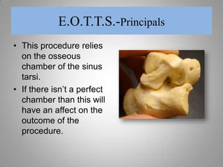 It could have “sought its own position”