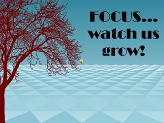 FOCUS… watch us grow! 