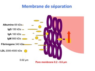 Albumine 69 kDa
IgG 150 kDa
IgA 160 kDa
IgM 900 kDa
Fibrinogene 340 kDa
LDL 2000-4500 kDa
0.02 µm
Pore membrane 0.2 - 0.6 µm
Membrane de séparation
 