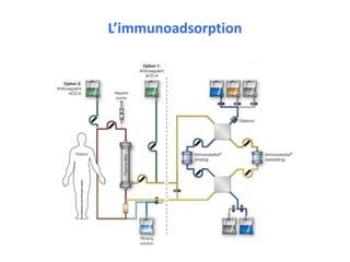 L’immunoadsorption
 