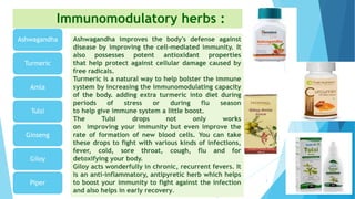 Immunomodulatory herbs :
Ashwagandha
Turmeric
Amla
Tulsi
Ginseng
Giloy
Piper 3
Ashwagandha improves the body's defense against
disease by improving the cell-mediated immunity. It
also possesses potent antioxidant properties
that help protect against cellular damage caused by
free radicals.
Turmeric is a natural way to help bolster the immune
system by increasing the immunomodulating capacity
of the body. adding extra turmeric into diet during
periods of stress or during flu season
to help give immune system a little boost.
The Tulsi drops not only works
on improving your immunity but even improve the
rate of formation of new blood cells. You can take
these drops to fight with various kinds of infections,
fever, cold, sore throat, cough, flu and for
detoxifying your body.
Giloy acts wonderfully in chronic, recurrent fevers. It
is an anti-inflammatory, antipyretic herb which helps
to boost your immunity to fight against the infection
and also helps in early recovery.
 