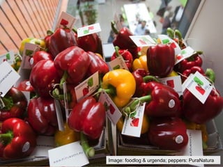 Image: foodlog & urgenda; peppers: PuraNatura
 