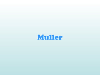 Muller
 