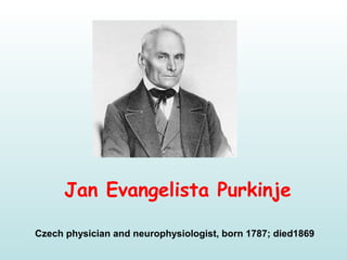 Jan Evangelista Purkinje
Czech physician and neurophysiologist, born 1787; died1869
 