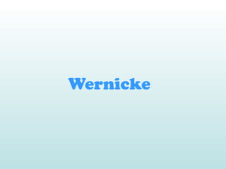 Wernicke
 