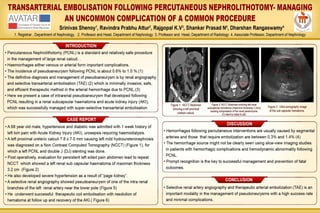 EP3: Transarterial Embolisation After PCNL