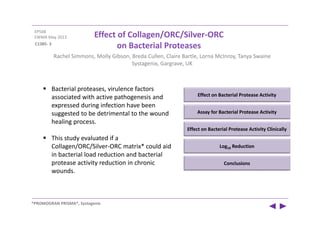 EP508 
EWMA May 2013
Effect on Bacterial Protease Activity
Rachel Simmons, Molly Gibson, Breda Cullen, Claire Bartle, Lorna McInroy, Tanya Swaine
Systagenix, Gargrave, UK
Effect of Collagen/ORC/Silver‐ORC
on Bacterial Proteases
 Bacterial proteases, virulence factors 
associated with active pathogenesis and 
expressed during infection have been 
suggested to be detrimental to the wound 
healing process. 
 This study evaluated if a 
Collagen/ORC/Silver‐ORC matrix* could aid 
in bacterial load reduction and bacterial 
protease activity reduction in chronic 
wounds.
Assay for Bacterial Protease Activity
Effect on Bacterial Protease Activity Clinically
Log10 Reduction  
Conclusions
C1385‐ 3
*PROMOGRAN PRISMA®, Systagenix
 