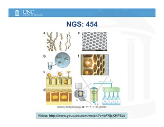 NGS: 454




          Nature Biotechnology 26, 1117 - 1124 (2008)


Video: http://www.youtube.com/watch?v=bFNjxKHP8Jc
 
