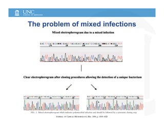 The problem of mixed infections
 