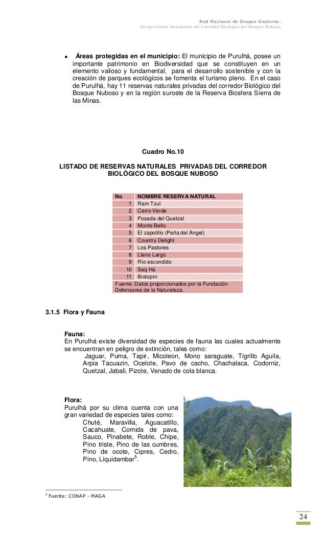 1050+ Imagenes Corte De Cabello Para Dama Cola De Quetzal Descargar