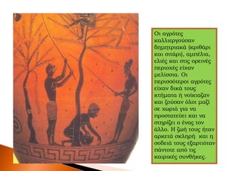 Οι αγρότες
καλλιεργούσαν
δημητριακά (κριθάρι
και σιτάρι), αμπέλια,
ελιές και στις ορεινές
περιοχές είχαν
μελίσσια. Οι
περισσότεροι αγρότες
είχαν δικά τους
κτήματα ή νοίκιαζαν
και ζούσαν όλοι μαζί
σε χωριά για να
προστατεύει και να
στηρίζει ο ένας τον
άλλο. Η ζωή τους ήταν
αρκετά σκληρή και η
σοδειά τους εξαρτιόταν
πάντοτε από τις
καιρικές συνθήκες.
 
