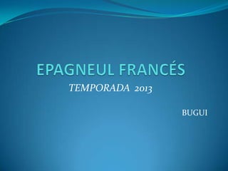 TEMPORADA 2013

                 BUGUI
 