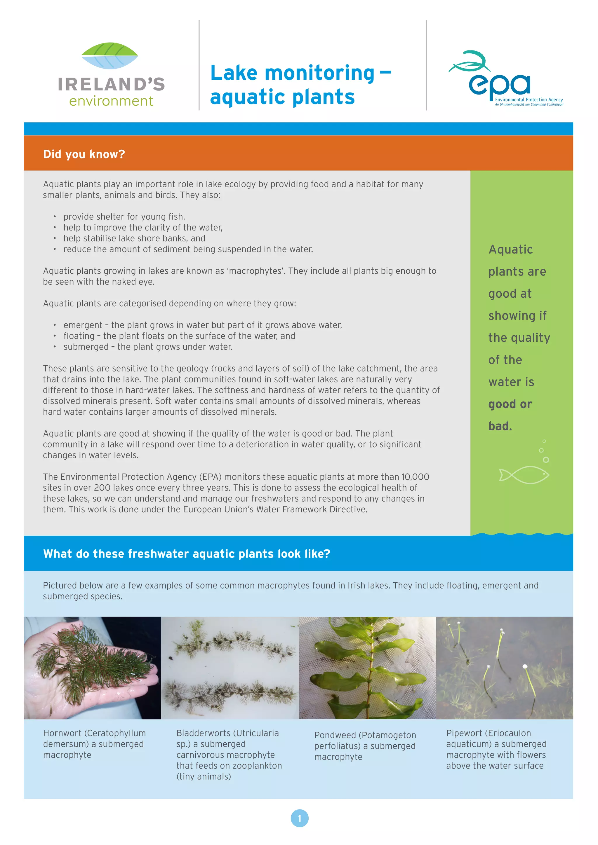 EPA Lake Monitoring Aquatic Plants Fact Sheet | PDF