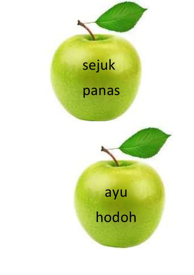 Epal Utk Gantung Pohon Ilmu Anggur Daun