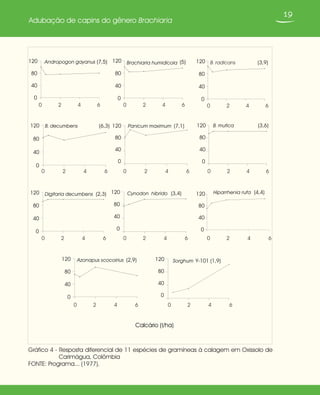19
Adubação de capins do gênero Brachiaria
Gráfico 4 - Resposta diferencial de 11 espécies de gramíneas à calagem em Oxissolo de
Carimágua, Colômbia
FONTE: Programa... (1977).
B. mutica (3,6)
0
40
80
120Panicum maximum (7,1)
0
40
80
120B. decumbens (6,3)
0
40
80
120
B. radicans (3,9)
0
40
80
120Brachiaria humidicola (5)
0
40
80
120Andropogon gayanus (7,5)
0
40
80
120
Digitaria decumbens (2,3)
0
40
80
120 Cynodon hibrido (3,4)
0
40
80
120 Hiparrhenia rufa (4,4)
0
40
80
120
Azonapus scocoirius (2,9)
0
40
80
120 Sorghum Y-101 (1,9)
0
40
80
120
Calcário (t/ha)
0 2 4 6
0 2 4 6 0 2 4 6
0 2 4 6 0 2 4 6 0 2 4 6
0 2 4 6 0 2 4 6
0 2 4 6
0 2 4 6
0 2 4 6
 