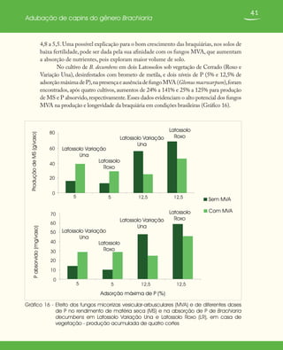 41
Adubação de capins do gênero Brachiaria
4,8 a 5,5.Uma possível explicação para o bom crescimento das braquiárias,nos solos de
baixa fertilidade, pode ser dada pela sua afinidade com os fungos MVA, que aumentam
a absorção de nutrientes, pois exploram maior volume de solo.
No cultivo de B. decumbens em dois Latossolos sob vegetação de Cerrado (Roxo e
Variação Una), desinfestados com brometo de metila, e dois níveis de P (5% e 12,5% de
adsorçãomáximadeP),napresençaeausênciadefungoMVA(Glomusmacrocarpum),foram
encontrados, após quatro cultivos, aumentos de 24% a 141% e 25% a 125% para produção
de MS e P absorvido,respectivamente.Esses dados evidenciam o alto potencial dos fungos
MVA na produção e longevidade da braquiária em condições brasileiras (Gráfico 16).
Gráfico 16 - Efeito dos fungos micorrizas vesicular-arbusculares (MVA) e de diferentes doses
de P no rendimento de matéria seca (MS) e na absorção de P de Brachiaria
decumbens em Latossolo Variação Una e Latossolo Roxo (LR), em casa de
vegetação - produção acumulada de quatro cortes
0
20
40
60
80
5 5 12,5 12,5
5 5 12,5 12,5
ProduçãodeMS(g/vaso)
Latossolo Variação
Una
Latossolo
Roxo
Latossolo
RoxoLatossolo Variação
Una
Latossolo Variação
Una
Latossolo
Roxo
Latossolo
RoxoLatossolo Variação
Una
0
10
20
30
40
50
60
70
Adsorção máxima de P (%)
Pabsorvido(mg/vaso)
Sem MVA
Com MVA
 
