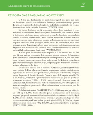 55
Adubação de capins do gênero Brachiaria
RESPOSTA DAS BRAQUIÁRIAS AO POTÁSSIO
O K tem ação fundamental no metabolismo vegetal, pelo papel que exerce
na fotossíntese, atuando na transformação da energia luminosa em energia química.
É, também, responsável pela translocação dos carboidratos sintetizados no processo
fotossintético e, ainda, é ativador de enzimas (WERNER, 1994).
Os capins deficientes em K apresentam colmos finos, raquíticos e pouco
resistentes ao tombamento. As folhas são pouco desenvolvidas, com coloração normal
a ligeiramente cloróticas, quando mais novas, e amarelo-alaranjadas ou amareladas,
quando se tornam intermediárias. Nessa ocasião, apresentam manchas necróticas
que aparecem em maior número nas pontas e ao longo das margens, permanecendo
as partes centrais da folha, por algum tempo, verdes. Ao envelhecerem, essas folhas
começam a secar da ponta para a base, sendo o secamento mais intenso nas margens.
Depois de secas, ficam com uma coloração parda, conservando as manchas necróticas
de tonalidade mais escura no fundo pardo (WERNER, 1994).
A maior parte dos trabalhos sobre respostas a K foi realizada fora do País,
mas dá uma ideia da necessidade deste nutriente para as pastagens de braquiárias.
Já foi demonstrado anteriormente em resposta das braquiárias ao N, que altos níveis
desse elemento promoveram uma retirada muito grande de K do solo pelas plantas,
principalmente em regime de cortes, já que, sob pastejo, parte do elemento consumido
volta ao solo por meio das fezes.
Em ensaio de nutrição com B. brizantha cv. Marandu, Monteiro (1994) relata
que a omissão de K na solução nutritiva não proporcionou redução estatisticamente
significativa na produção e no perfilhamento, em relação ao tratamento completo,
dentro do período de duração do ensaio. Porém, os teores de K na parte aérea (0,43%)
e nas raízes (0,36%) foram significativamente mais baixos do que nas plantas do
tratamento completo (2,80% e 2,50%, respectivamente). Sintomas usuais de
deficiência de K foram observados a partir da terceira semana, após o transplante nos
vasos, com as plantas apresentando folhas mais estreitas e necrose nas margens das
lâminas foliares.
Trabalhos realizados no Ciat (FERTILIDAD...,1981) mostraram que aplicações
de 12,1 kg de K2
O/ha foram suficientes para o estabelecimento de B. humidicola,
enquanto que, para B. decumbens e B. brizantha, o nível crítico externo foi de 22,2 kg de
K2
O/ha. Como o trabalho não menciona o nível de N aplicado para chegar aos níveis
críticos encontrados para K,vale lembrar que aplicações de 200 kg de N/ha/ano exigiram
adubações anuais superiores a 50 kg de K2
O/ha, para manter produtivas as pastagens
(FERTILIDAD..., 1981).
 