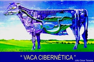 “ VACA CIBERNÉTICA ”Júlio César Teixeira
 