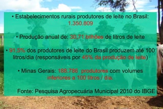• Estabelecimentos rurais produtores de leite no Brasil:
1.350.809
• Produção anual de: 30,71 bilhões de litros de leite
• 91,5% dos produtores de leite do Brasil produzem até 100
litros/dia (responsáveis por 45% da produção de leite)
• Minas Gerais: 188.786 produtores com volumes
inferiores a 100 litros / dia.
Fonte: Pesquisa Agropecuária Municipal 2010 do IBGE
 