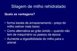 Silagem de milho rehidratado
Quais as vantagens?
• forma barata de armazenamento - preço do
milho estiver mais baixo
• Como alternativa ao grão úmido – quando não
tem de maquinário ou passou da época
• Aumenta a digestibilidade do milho para o
animal
 