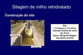 Silagem de milho rehidratado
Construção do silo
1 m de altura
1 m de largura
Silo
1 m largura x 1m altura
Camada mínima de corte
de 10 cm
Aprox. 90 kg de silagem
Uso diário mínimo
 