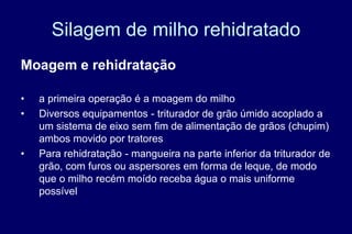 Silagem de milho rehidratado
Moagem e rehidratação
• a primeira operação é a moagem do milho
• Diversos equipamentos - triturador de grão úmido acoplado a
um sistema de eixo sem fim de alimentação de grãos (chupim)
ambos movido por tratores
• Para rehidratação - mangueira na parte inferior da triturador de
grão, com furos ou aspersores em forma de leque, de modo
que o milho recém moído receba água o mais uniforme
possível
 