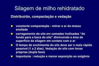 Silagem de milho rehidratado
Distribuirão, compactação e vedação
 constante compactação - retirar o ar da massa
ensilada
 carregamento do silo em camadas inclinadas “do
fundo para a boca do silo” diminuindo a área de
superfície da silagem em contato com o ar
 O tempo de enchimento do silo deve ser o mais rápido
possível (1 a 2 dias). Vedação do silo com lonas
próprias (dupla face)
 Importante : redução e menor exposição ao oxigênio
 