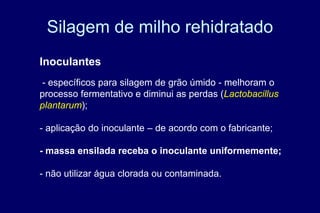 Silagem de milho rehidratado
Inoculantes
- específicos para silagem de grão úmido - melhoram o
processo fermentativo e diminui as perdas (Lactobacillus
plantarum);
- aplicação do inoculante – de acordo com o fabricante;
- massa ensilada receba o inoculante uniformemente;
- não utilizar água clorada ou contaminada.
 